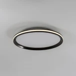 Потолочный светильник светодиодный с пультом с регулировкой цветовой температуры LED4U LED4U L3020-400 BK