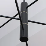 Потолочная люстра на штанге Favourite Imma 4375-6P (LED, 220V)