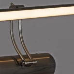 Подсветка для картин светодиодная с регулировкой цветовой температуры Reluce 08142-0.2-01L (220V)