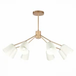 Потолочная люстра Evoluce Mario SLE155902-08