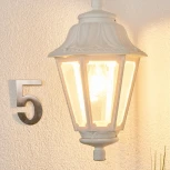 Уличный светильник подвесной Fumagalli Anna E22.120.000.WXF1R (220V, на цепи, IP44)