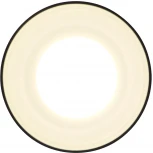 Точечный накладной светодиодный светильник TECHNO SPOT TN3204 (220V)