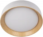 Потолочный светильник Coin 10202 White Loft It