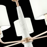 Подвесная люстра ST Luce Vellino SL1163.203.05 (220V, на цепи)