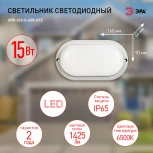 Настенно-потолочный светильник светодиодный ЭРА SPB-202-0-65K-015 (220V, IP65)