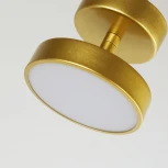 Потолочный светильник круглый F-Promo Atma 3059-1P (LED, 220V, круглые)