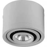 Накладной точечный светильник Favourite Reflector 1774-1C