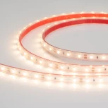 Светодиодная лента Arlight RTW 2 028506