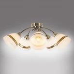 Потолочная люстра MyFar Emily MR1460-5C (220V)