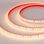 Светодиодная лента Arlight RTW 2-5000PS 022320