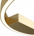 Потолочный светильник круглый Maytoni Rim MOD058CL-L25BSK (LED, 220V, кольцо)