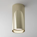 Накладной потолочный светильник Focus GU10 1x50Вт Maytoni Technical C010CL-01G (220V, круглые)