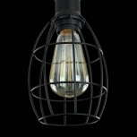 Подвесной светильник Maytoni Denver T447-PL-01-B