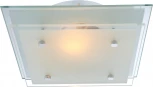 Настенно-потолочный светильник Globo Indi 48168