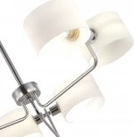 Потолочная люстра на штанге Evoluce Aerin SLE1121-102-06