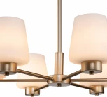 Люстра подвесная Tulip V000001 (13004/6P Gold) (220V, на цепи)