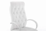 Компьютерное кресло Woodville Osiris white / satin chrome 15425