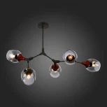 Потолочная люстра на штанге Evoluce Ciotolla SLE113402-05 (220V, шарики)