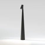 Настольная лампа светодиодная с аккумулятором Elektrostandard Elite TL70250 черный (регулировка яркости)