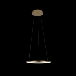 Подвесной светильник Loft IT Ring 10014S (LED, 220V, на тросе, кольцо)