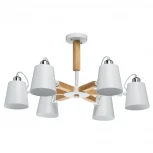 Потолочная люстра MW-Light Форест 693011106