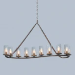 Подвесная люстра L'Arte Luce Infinity L53810.61 (220V, ковка, на цепи)