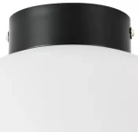 Потолочный светильник Lightstar Globo 812037