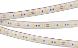 Светодиодная лента герметичная RTW-PS-B60-12mm 12V Day4000 (14.4 W/m, IP67, 5060, 5m) (Arlight, 14.4 Вт/м, IP67) 022324(2)