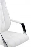 Компьютерное кресло Woodville Sarabi white / satin chrome 15424