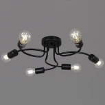 Потолочная люстра Reluce 01742-0.3-06 BK (220V)