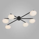 Потолочная люстра Eurosvet Opaline 70220/6 черный (шар)