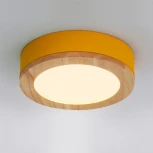 Круглый потолочный светильник LED Lu Carte LC-11-0747