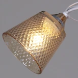 Потолочная люстра на штанге Reluce 06003-0.3-02 FG+WT (220V)