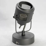 Спот Lussole Loft Haines GRLSP-8045 (220V, IP21)