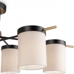 Потолочная люстра на штангу Freya Bogy FR5377CL-06B (220V)