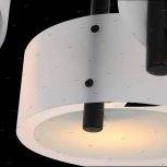 Потолочная люстра ST Luce Foresta SL483.402.03