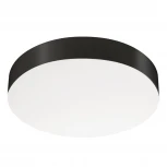 Потолочный светильник круглый SP-FLOWER-R410-32W Day4000 (BK, 110 deg, 230V) (Arlight, IP54 Пластик) 049803 (LED)