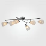 Спот Eurosvet Organic 20053/6 хром