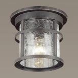Потолочный светильник уличный Odeon Light Virta 4044/1C (220V, IP44)