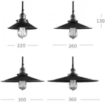 Подвесной светильник Loft Cone Pendant 30 ImperiumLoft 40,199 (74715-22)