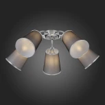 Потолочная люстра Evoluce Maleonte SLE103002-05