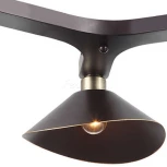 Потолочная люстра Lussole Loft Opelika LSP-9534 (220V, IP21)