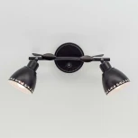 Спот Citilux Робуста CL509522