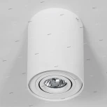 Потолочный светильник круглый Lightstar Binoco 052016 (220V)