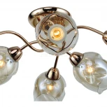 Потолочная люстра F-Promo Bento 2190-6U