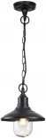 Уличный светильник подвесной Odeon Light Campa 4965/1 (220V, на цепи, круглые, IP44)