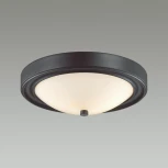 Настенно-потолочный светильник Nina 5260/2C черный E27 2*60W