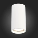 Светильник потолочный ST Luce ST157.532.15 (LED, 220V, круглые, IP44)