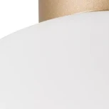 Потолочный светильник круглый Lightstar Globo 812033 (220V, шар)