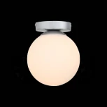 Настенно-потолочный светильник ST Luce Acini SL717.501.01